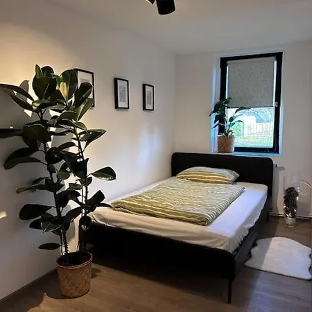 Apartament Urban Weimarer Land - Renovierung
